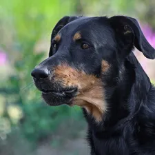voorbeeld profielfoto2